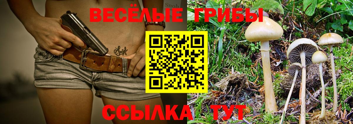 Котлас  Галлюциногенные грибы мухоморы  Псилоцибиновые грибы Psilocybe  Вход с VPN 