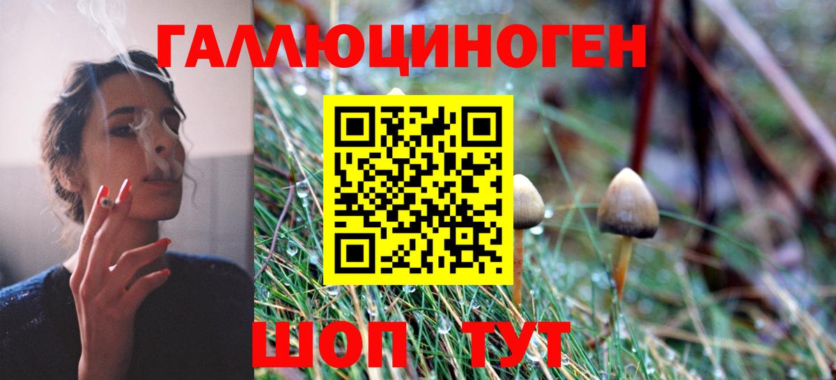 Галлюциногенные грибы прущие грибы Котлас