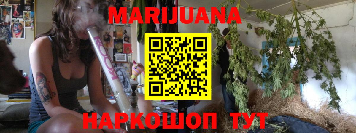 Бошки Шишки семена  Каннабис план  Бошки марихуана Bruce Banner  Вход с VPN  Котлас  Марихуана индика 